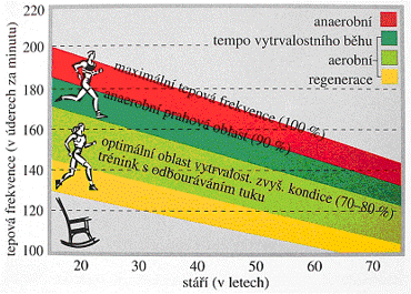 maximální krevní tlak při zátěži