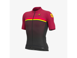 ALÉ PRS BRIDGE Bordeaux