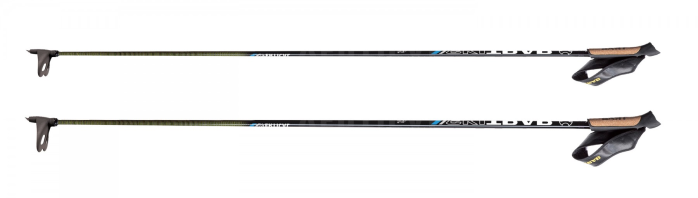 detail SKITRAB POLES VERTICAL CARBON QC