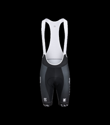 CANYON ALPECIN- PREMIER TECH GOFFRATO BIBSHORTS MEN´S