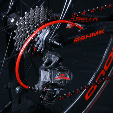 detail PINARELLO DOGMA CAMPAGNOLO SUPER RECORD - LAK