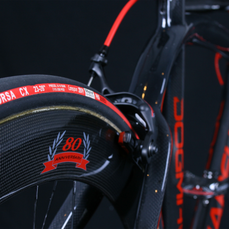 detail PINARELLO DOGMA CAMPAGNOLO SUPER RECORD - LAK