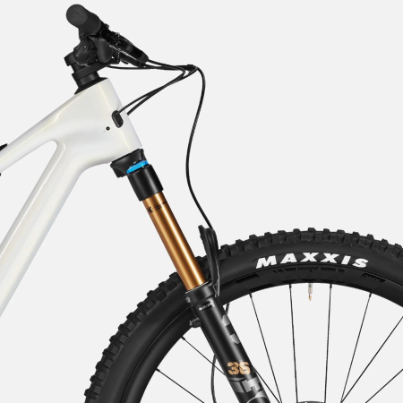 detail CANYON SPECTRAL CF LTD Minimal White SHOWROOM